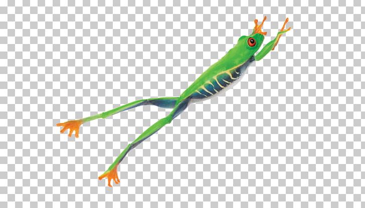 Frog Reptile Telus PNG, Clipart, Amphibian, Common Frog, Frog, Organism, Reptile Free PNG Download