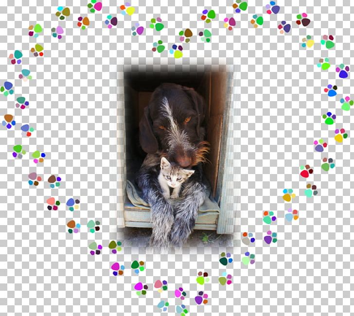Happy Paws Missoula Dog Encapsulated PostScript PNG, Clipart, Animals, Carnivoran, Dog, Dog Breed, Dog Like Mammal Free PNG Download