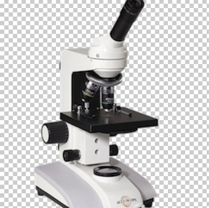 Stereo Microscope Cell Accu Scope Inc Achromatic Lens PNG, Clipart, Accu Scope Inc, Achromatic Lens, Biology, Cell, Cnidaria Free PNG Download