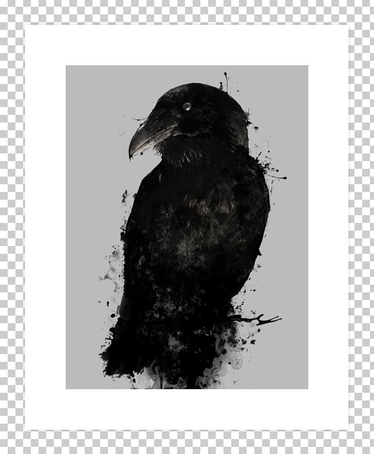 American Crow Common Raven The Raven Odin Huginn And Muninn PNG, Clipart, American Crow, Art, Art Print, Beak, Bird Free PNG Download