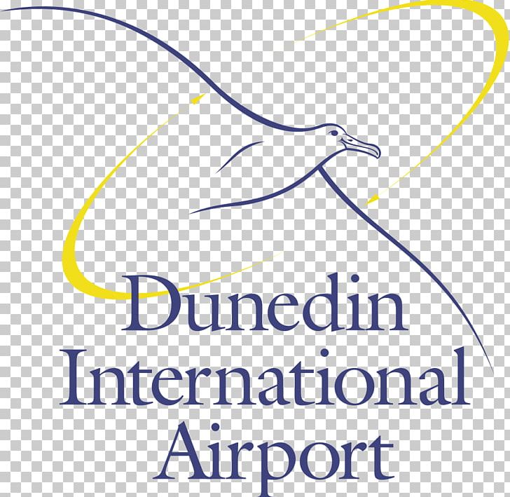 Dunedin Airport Landing International Airport PNG, Clipart, Aerodrome, Airport, Angle, Area, Aviation Free PNG Download
