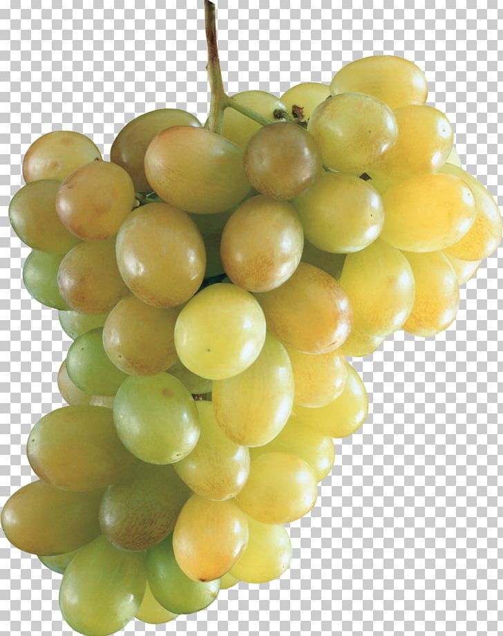Sultana Common Grape Vine PNG, Clipart, 3d Creative, 3d Icon, Art, Auglis, Cartoon Free PNG Download