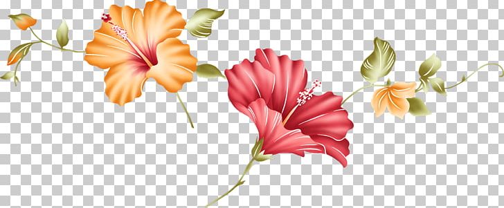 Flower Lilium PNG, Clipart, Cut Flowers, Designer, Download, Flora, Floral Design Free PNG Download