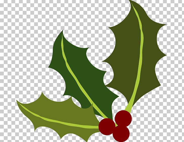 Leaf PNG, Clipart, Aquifoliaceae, Art, Christmas, Clip Art, Common Holly Free PNG Download