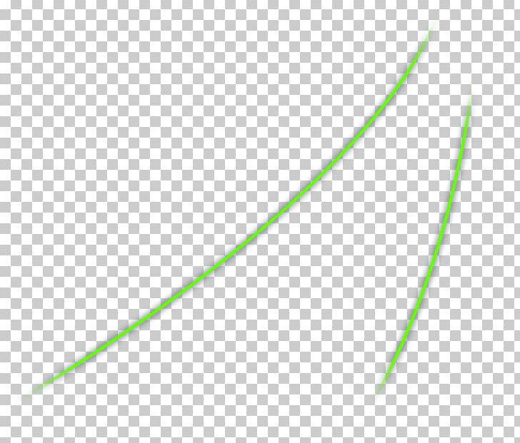 Leaf Line Grasses Angle PNG, Clipart, Angle, Family, Grass, Grasses, Grass Family Free PNG Download