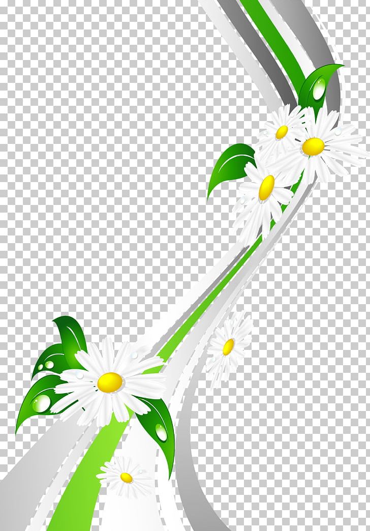 Paper 20.03.2017. Common Daisy PNG, Clipart, 20032017, Branch, Chamomile, Common Daisy, Depositfiles Free PNG Download