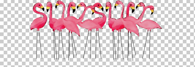 Flamingo PNG, Clipart, Biology, Birds, Flamingo, Meter, Paint Free PNG Download