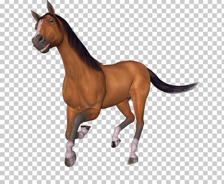 Mustang Pony Stallion Brush PNG, Clipart, Animal Figure, Bridle, Brush, Download, Drawing Free PNG Download