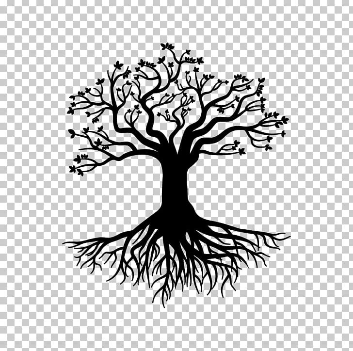 Root Tree Stock Photography Gratis PNG, Clipart, Arborvitae, Artwork, Autumn Leaf Color, Black And White, Bonsai Free PNG Download