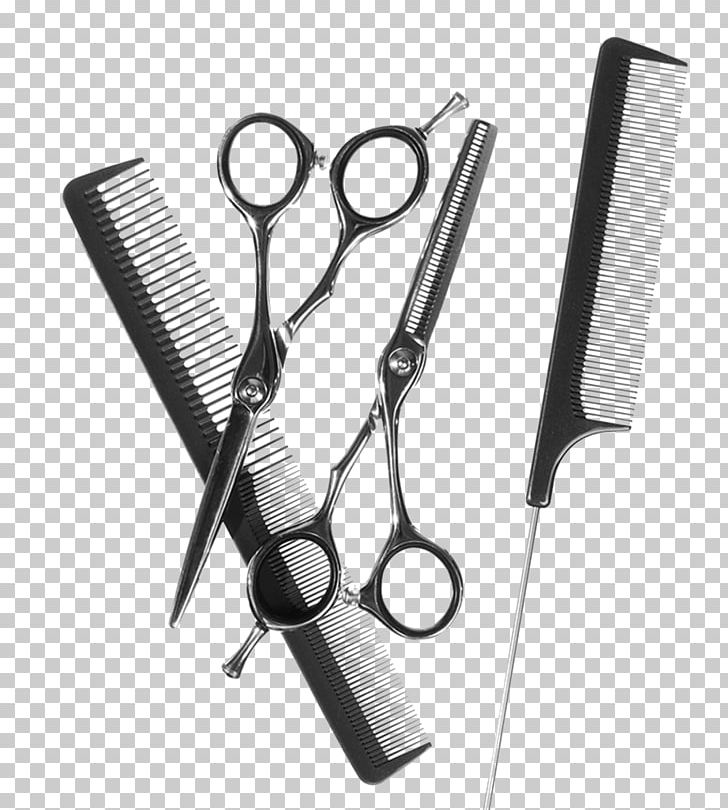 Tool Comb Cosmetologist Cosmetology Beauty Parlour PNG, Clipart, Beauty, Beauty Parlour, Comb, Cosmetics, Cosmetologist Free PNG Download