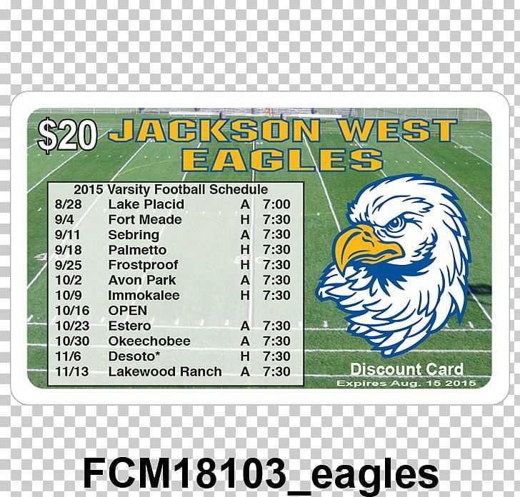 Bald Eagle United States Text Patriotism Zazzle PNG, Clipart, Area, Bald Eagle, Brand, Conflagration, Discount Cards Free PNG Download