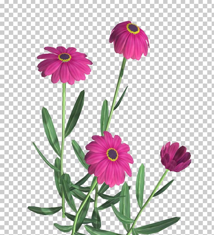 Flower PNG, Clipart, Annual Plant, Christmas Decoration, Chrysanths, Cut Flowers, Dahlia Free PNG Download
