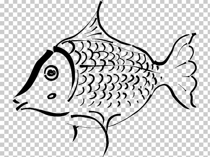 Goldfish Drawing PNG, Clipart, Animals, Aquatic Animal, Area, Artwork, Beak Free PNG Download