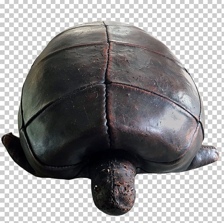 Tortoise Pond Turtles Sea Turtle Helmet PNG, Clipart, Animals, Emydidae, Helmet, Mirror Fair, Personal Protective Equipment Free PNG Download