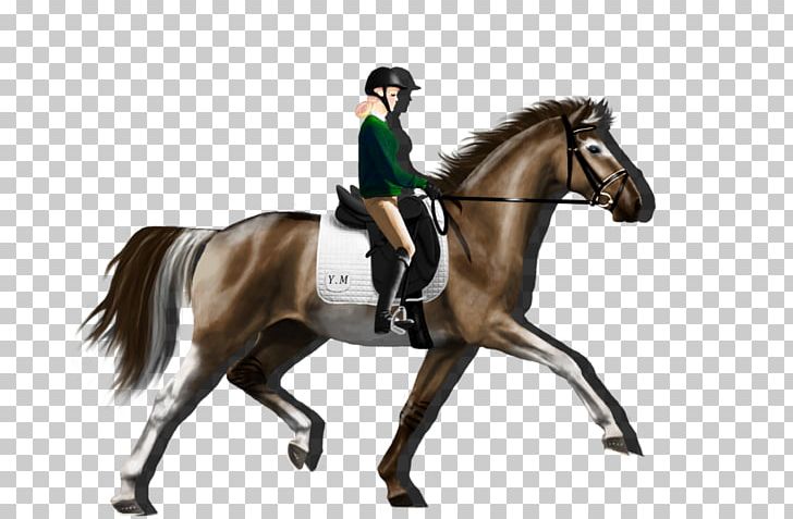 Hunt Seat Stallion Rein Mustang Mare PNG, Clipart, Animal Training, Bit, Bridle, Dog Harness, Dressage Free PNG Download