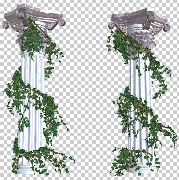 Vine Computer Icons Column PNG, Clipart, Branch, Clip Art, Column, Computer Icons, Encapsulated Postscript Free PNG Download