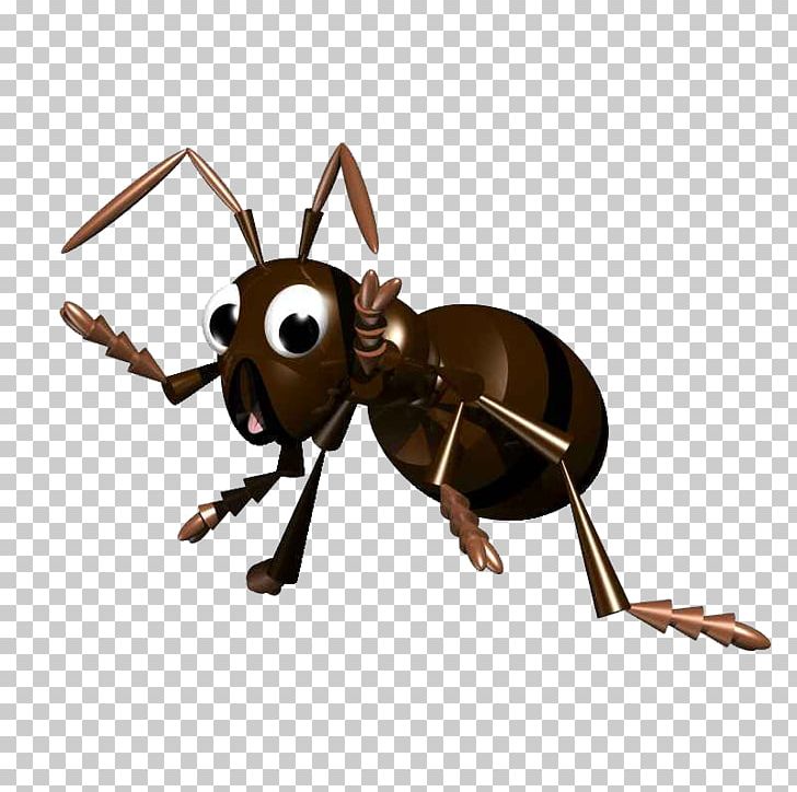 Black Garden Ant Insect Leafcutter Ant PNG, Clipart, Ant, Ants, Ants Vector, Ant Vector, Arthropod Free PNG Download