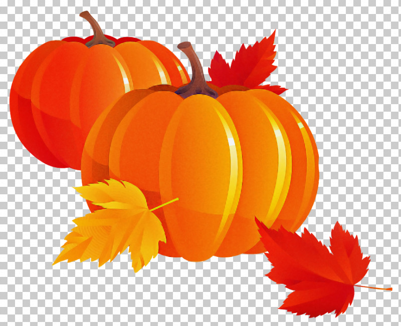 Orange PNG, Clipart, Calabaza, Fruit, Leaf, Orange, Plant Free PNG Download