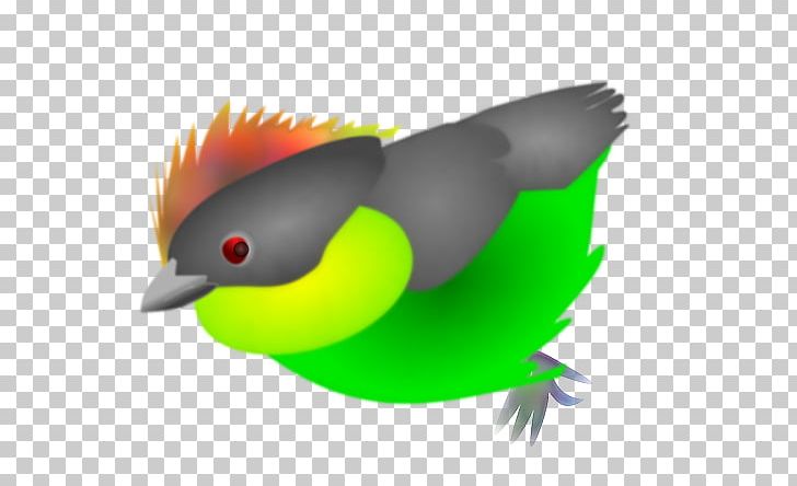 Beak Bird Finch PNG, Clipart, Beak, Bird, Cartoon, Download, European Goldfinch Free PNG Download