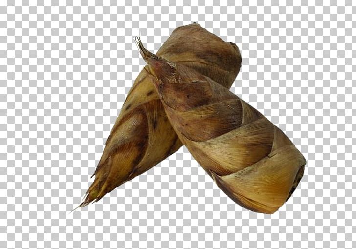 Menma Bamboo Shoot Zongzi Vegetable Food PNG, Clipart, Bamboo, Bamboo Border, Bamboo Frame, Bamboo Leaf, Bamboo Leaves Free PNG Download