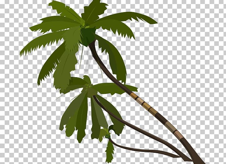 Tree Jungle PNG, Clipart, Arecaceae, Branch, Clip Art, Drawing, Flowering Plant Free PNG Download