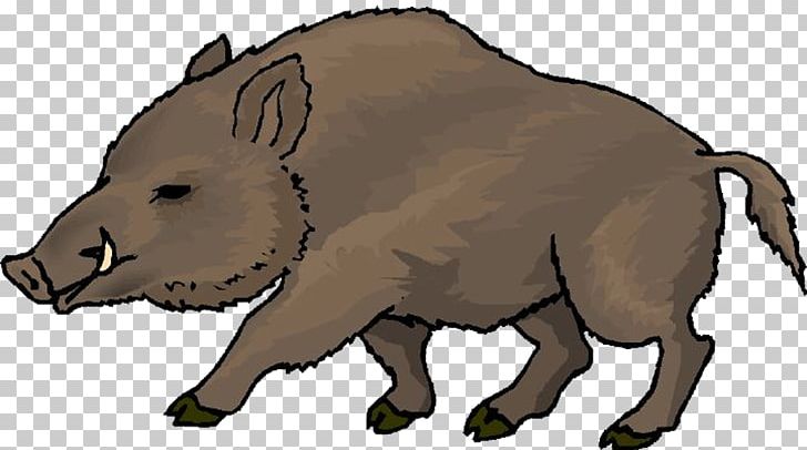 Wild Boar PNG, Clipart, Animal Figure, Bear, Boar, Carnivoran, Cattle Like Mammal Free PNG Download