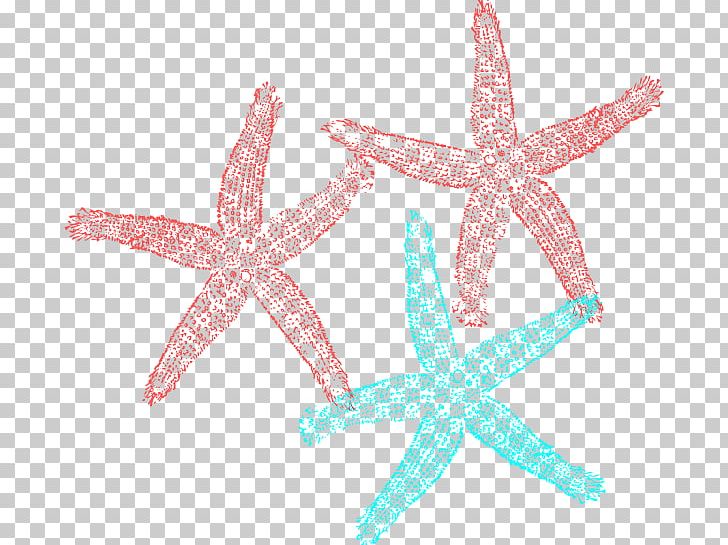 Coral Starfish PNG, Clipart, Animals, Blue, Clip Art, Coral, Echinoderm Free PNG Download