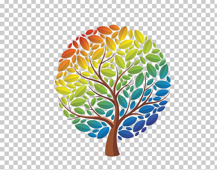 Tree Rainbow Eucalyptus Drawing PNG, Clipart, Branch, Christmas Tree, Circle, Color, Drawing Free PNG Download
