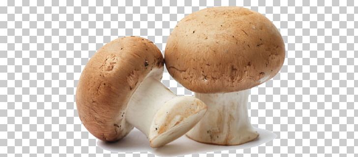 Common Mushroom Edible Mushroom Fungiculture Oyster Mushroom PNG, Clipart, Agaricaceae, Agaricomycetes, B 12, Boletus Edulis, Champignon Mushroom Free PNG Download