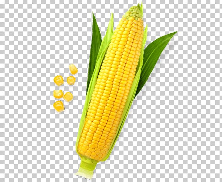 Corn On The Cob Maize Sweet Corn PNG, Clipart, Clip Art, Commodity, Corn, Corn Kernels, Corn On The Cob Free PNG Download