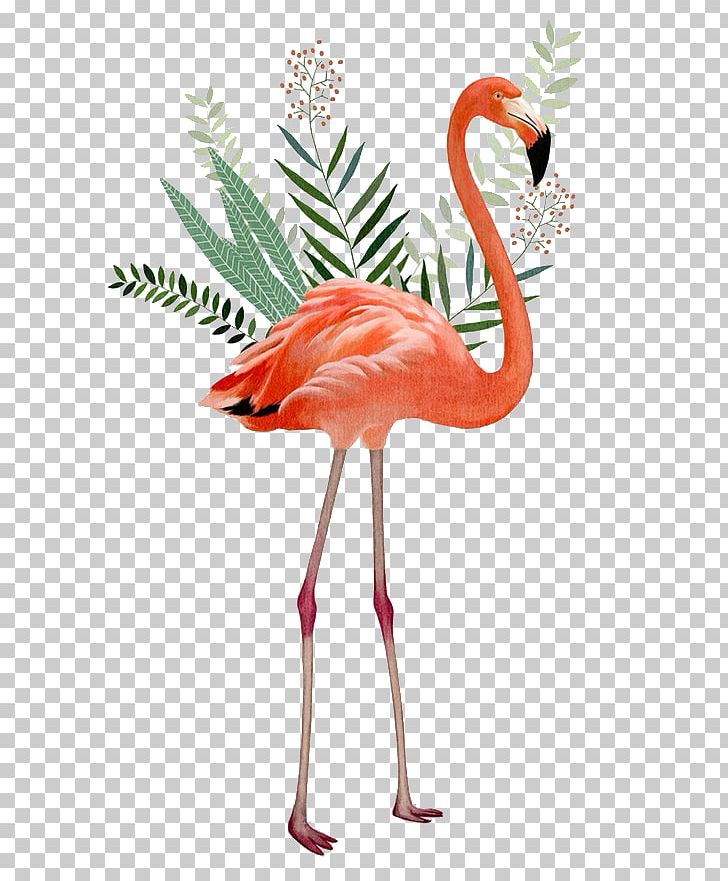 Desktop Bird Greater Flamingo PNG, Clipart, Animals, Beak, Bird, Cartoon, Computer Free PNG Download