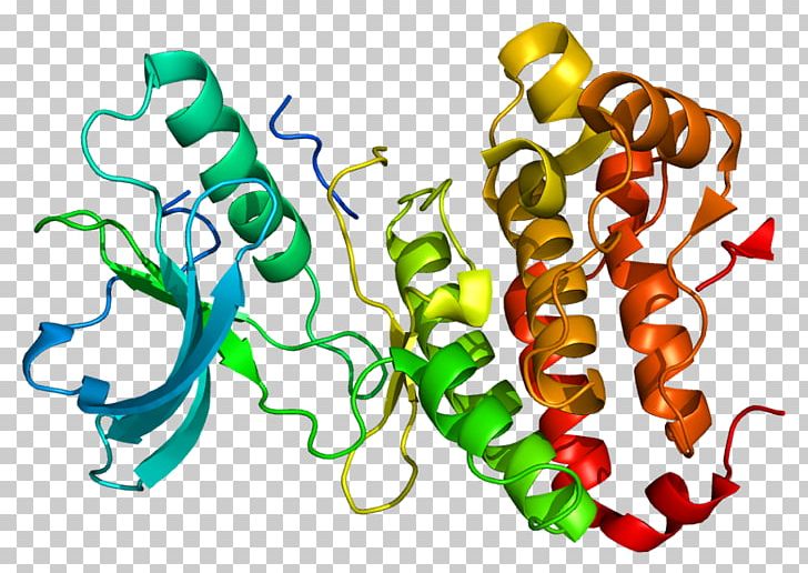EPH Receptor A3 Ephrin Receptor Protein Gene PNG, Clipart, Are, Artwork, Chromosome, Ephrin Receptor, Food Free PNG Download