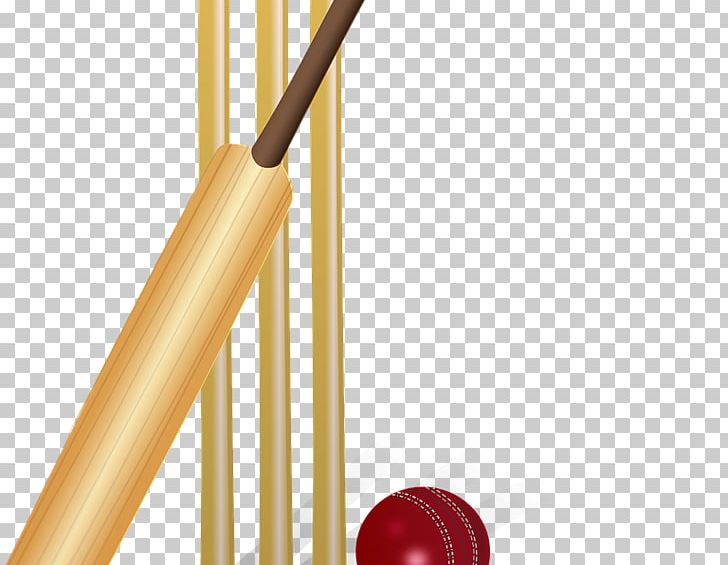 Indian Premier League India National Cricket Team Cricket World Cup Cricket Balls PNG, Clipart, Bat, Bat Clipart, Coach, Cricket, Cricket Balls Free PNG Download