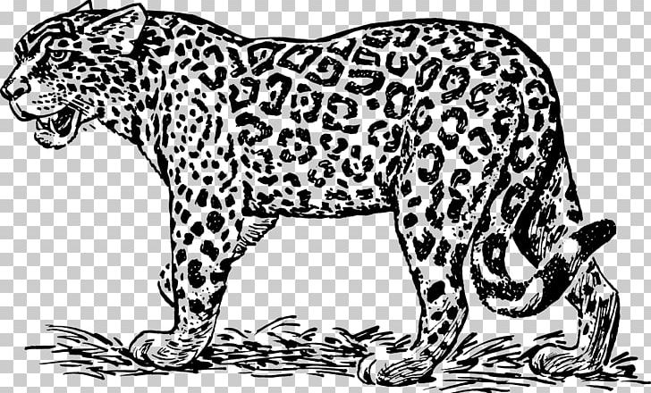Jaguar Ocelot Black And White PNG, Clipart, Animal Figure, Animals, Big Cat, Big Cats, Black Free PNG Download