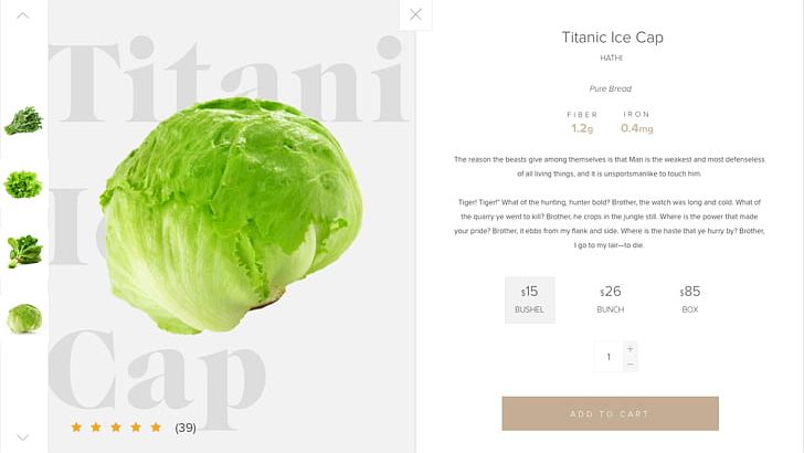 Lettuce Leaf Vegetable Brand PNG, Clipart, Brand, Food, Food Drinks, Green, Lactuca Free PNG Download