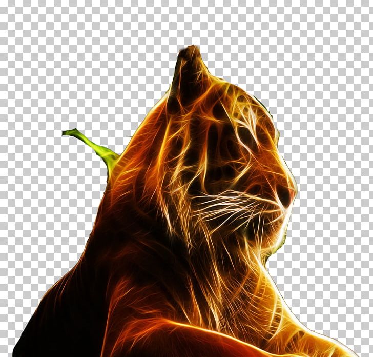 Tiger Felidae High-definition Television Display Resolution PNG, Clipart, 4k Resolution, 720p, Animal, Animals, Big Cats Free PNG Download