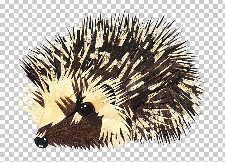 European Hedgehog Animal Drawing PNG, Clipart, Animal, Animals, Art, Domesticated Hedgehog, Drawing Free PNG Download