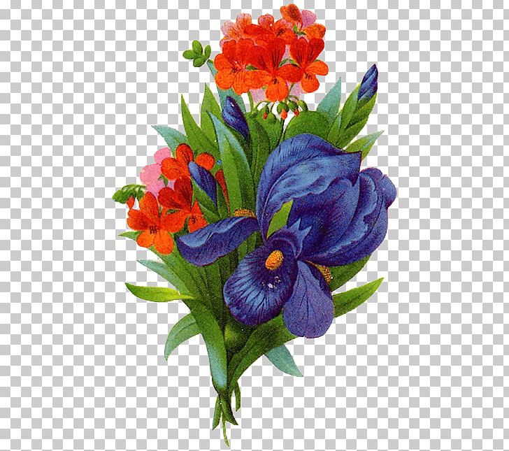 Flower Faryazan PNG, Clipart, Animation, Annual Plant, Cut Flowers, Digital Image, Faryazan Free PNG Download