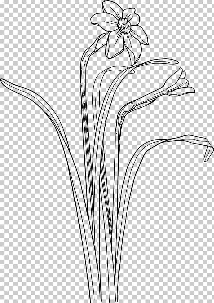 Flower Shrub Plant Stem Drawing PNG, Clipart, Artwork, Black And White, Branch, Daffodil, Drawing Free PNG Download