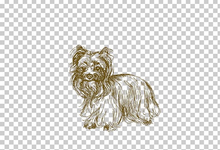 Jack Russell Terrier African Wild Dog Puppy Drawing PNG, Clipart, Animal, Animals, Carnivoran, Cartoon Dog, Companion Dog Free PNG Download