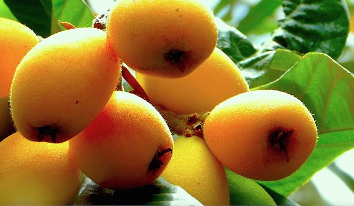 Juice Loquat Fruit Food Orange PNG, Clipart, Alimento Saludable, Apple, Apricot, Dietary Fiber, Flavor Free PNG Download