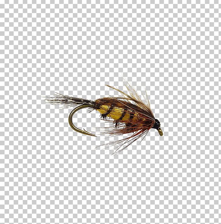 Artificial Fly Insect Nymph Isonychia PNG, Clipart, Artificial Fly, Bead, Bee, Card, Email Free PNG Download