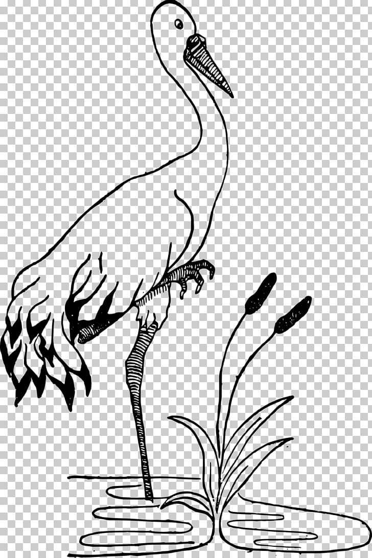 Crane Black And White Drawing PNG, Clipart, Animals, Artwork, Beak, Bird, Black And White Free PNG Download