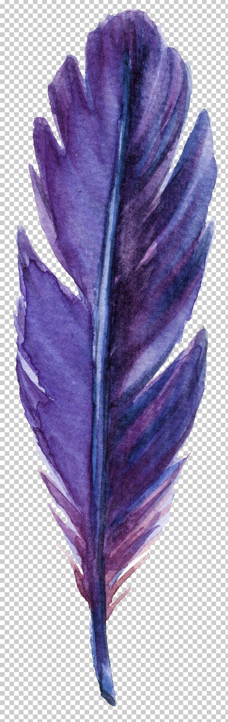 Feather Purple Leaf Green PNG, Clipart, Animals, Autumn Leaves, Color, Creative, Creative Leaves Free PNG Download