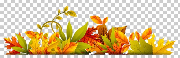 Autumn PNG, Clipart, Autumn, Autumn Leaf Color, Computer Wallpaper, Desktop Wallpaper, Flower Free PNG Download