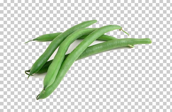 Green Bean PNG, Clipart, Green Bean Free PNG Download