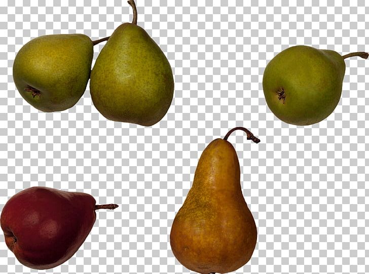 Pear Fruit Food Quince PNG, Clipart, Amygdaloideae, Apple, Apricot, Cherimoya, Food Free PNG Download