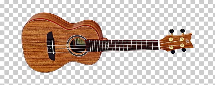 Ukulele Classical Guitar Bass Guitar Acoustic Guitar PNG, Clipart, Acoustic Electric Guitar, Amancio Ortega, Classical Guitar, Cuatro, Guitar Accessory Free PNG Download