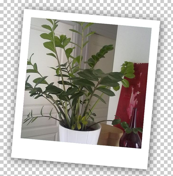 Window Flowerpot Leaf Houseplant Herb PNG, Clipart, Flora, Flower, Flowerpot, Furniture, Herb Free PNG Download