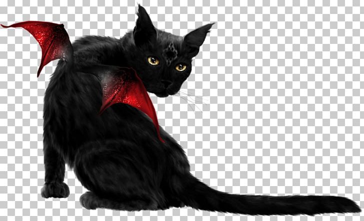 Bombay Cat Black Cat Kitten Whiskers PNG, Clipart, Black, Black Background, Black Cat, Bombay, Bombay Cat Free PNG Download